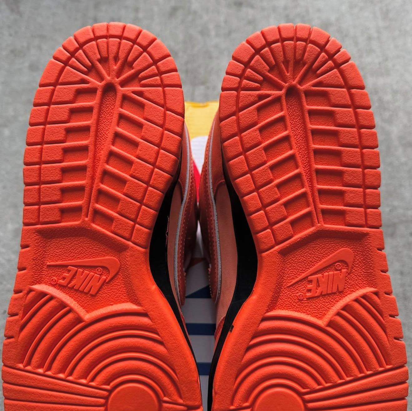 2022 Concepts x Nike Dunk SB Low “Orange Lobster”