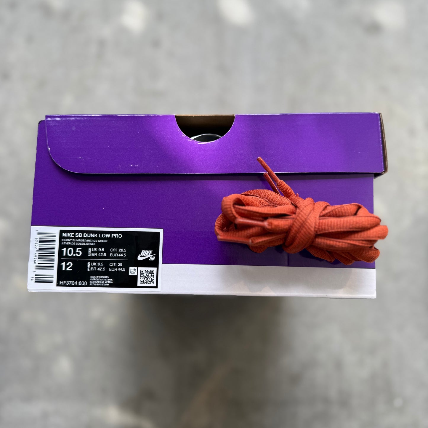 Size 10.5 - 2024 Nike Dunk SB Low “Burnt Sunrise”