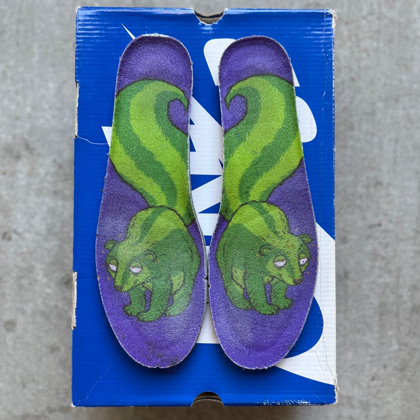 Size 11 - 2010 Nike Dunk SB High “Skunk”