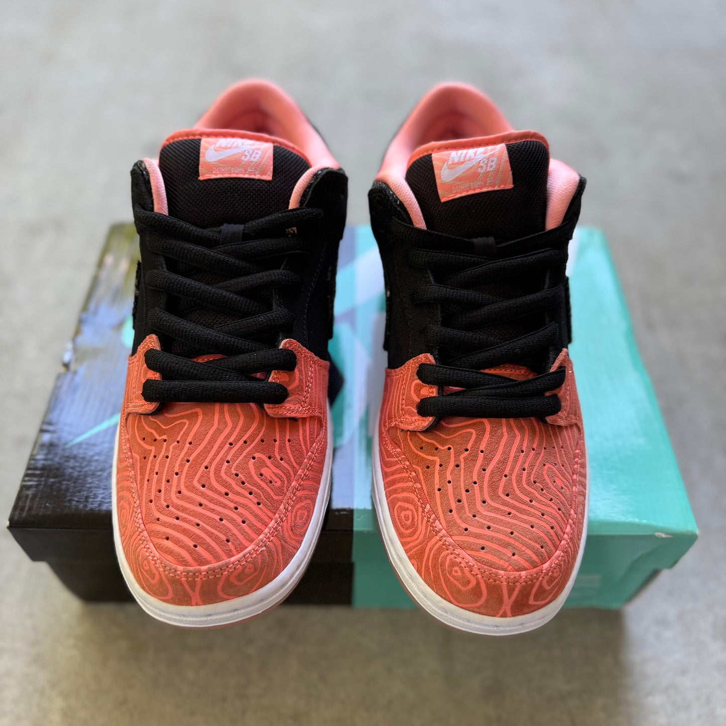 Size 11 - 2015 Premier x Nike Dunk SB Low "Fish Ladder"