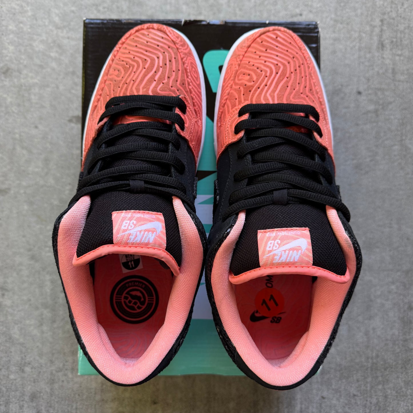 Size 11 - 2015 Premier x Nike Dunk SB Low "Fish Ladder"