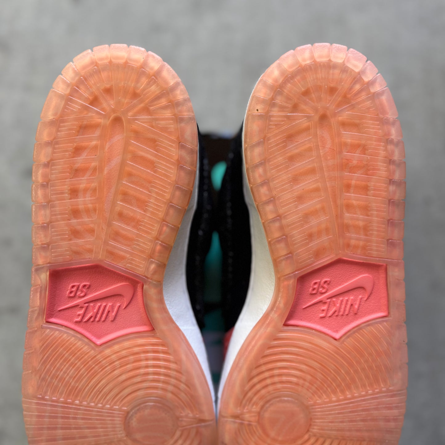 Size 11 - 2015 Premier x Nike Dunk SB Low "Fish Ladder"
