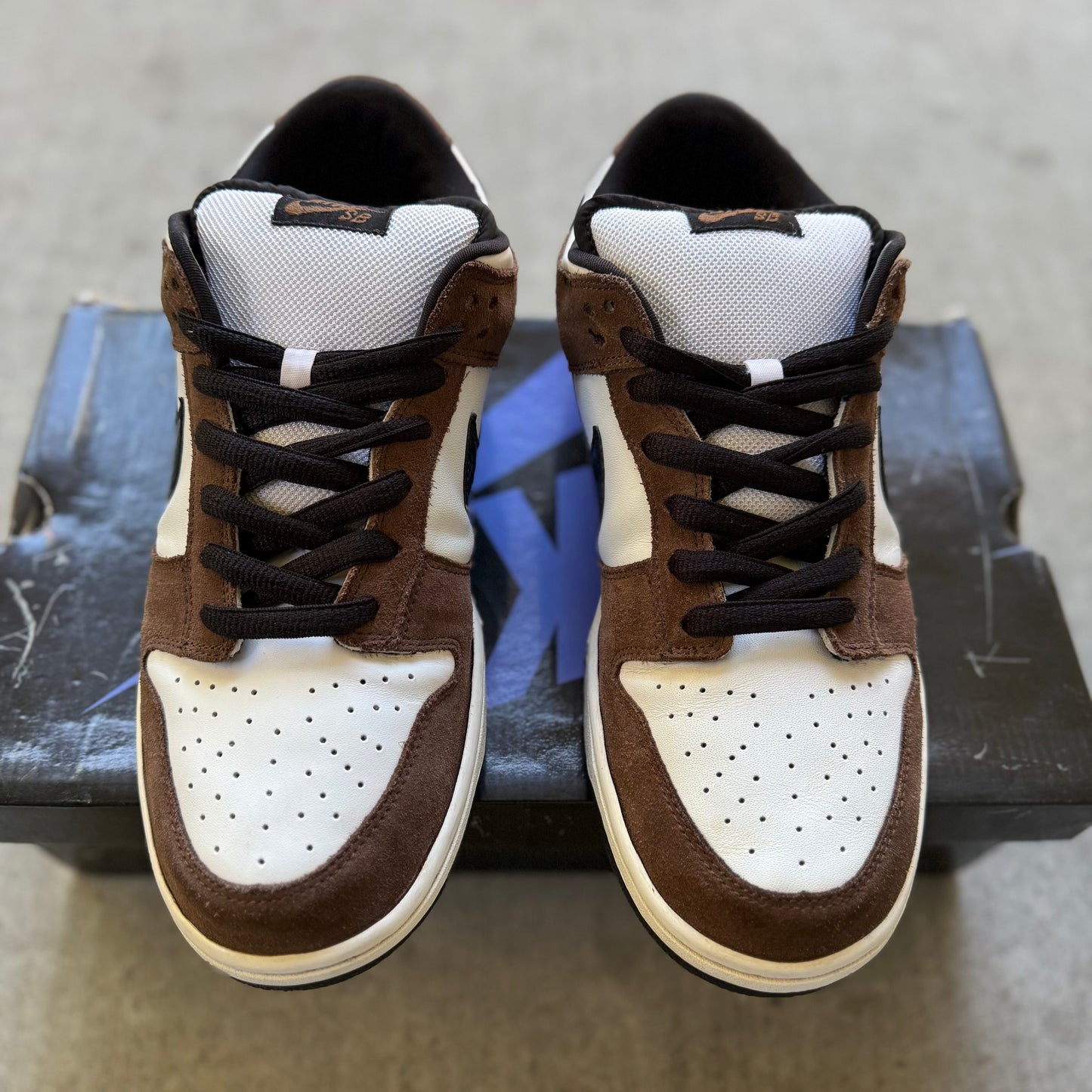 Size 11 - 2007 Nike Dunk SB Low “Trail End”