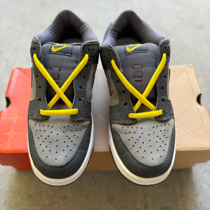 Size 9.5 - 2001 Nike Dunk Pro B “Lightning / Graphite”