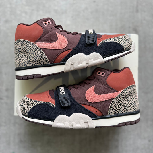 Size 10.5 - 2025 Nike Air Trainer 1 SB “Arts-Rec”