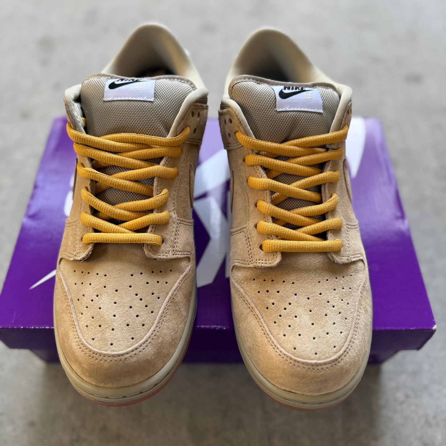Size 10.5 - 2025 Nike Dunk Pro B “Parachute / Beige”