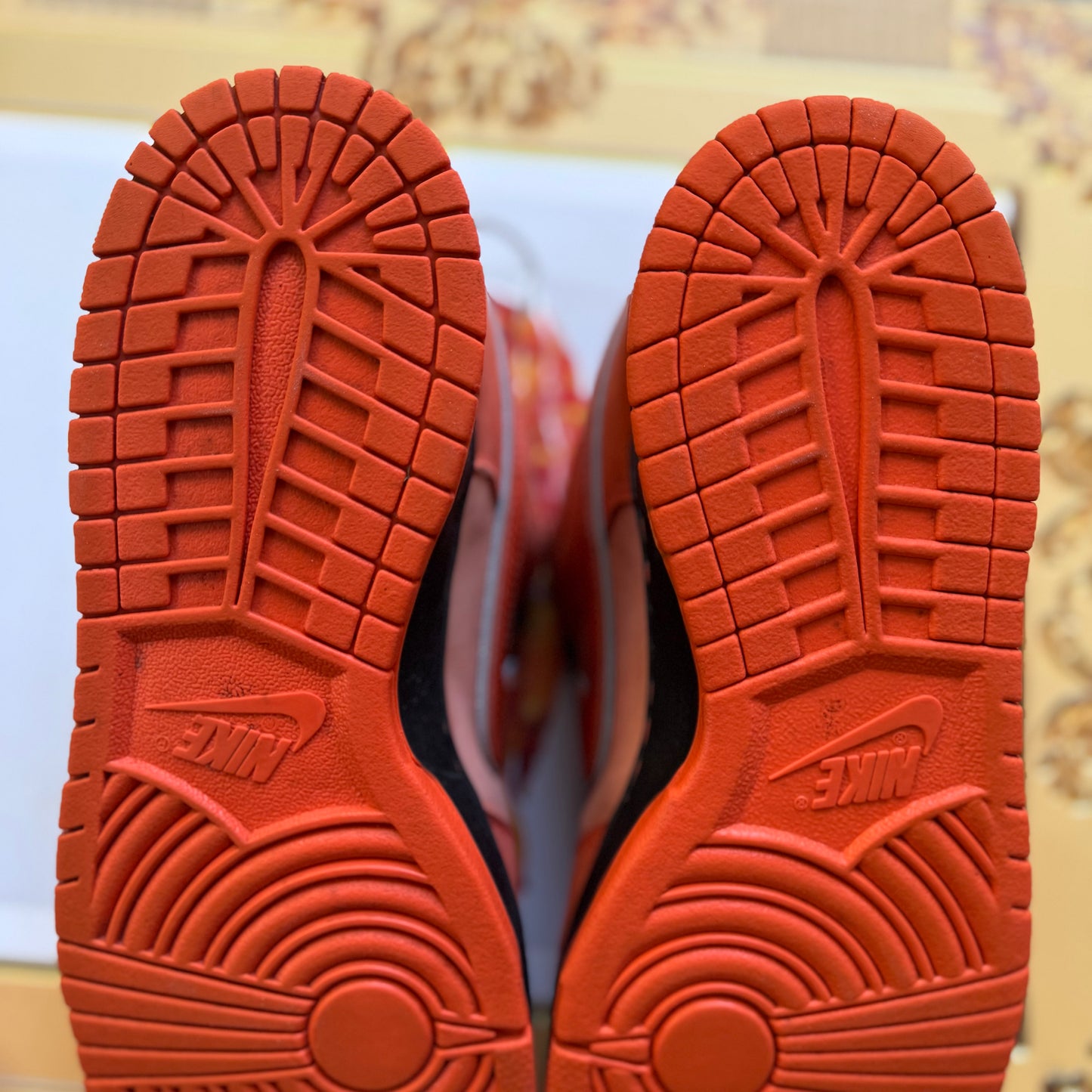 Size 10 - 2022 Concepts x Nike Dunk SB Low “Orange Lobster” Special Box