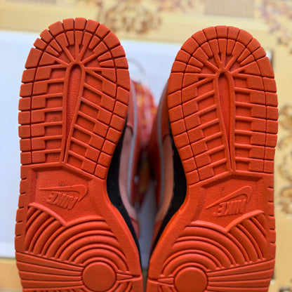 Size 10 - 2022 Concepts x Nike Dunk SB Low “Orange Lobster” Special Box