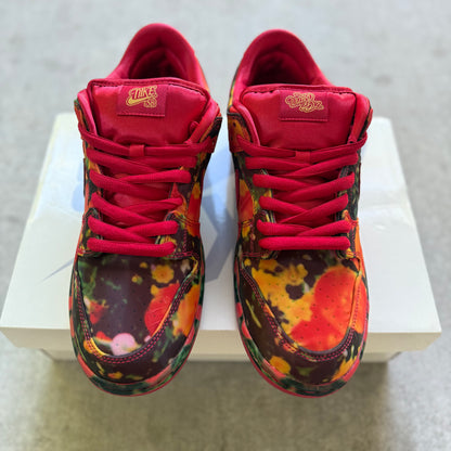 2024 Wizard of Oz x Nike Dunk SB “Poppy Field”