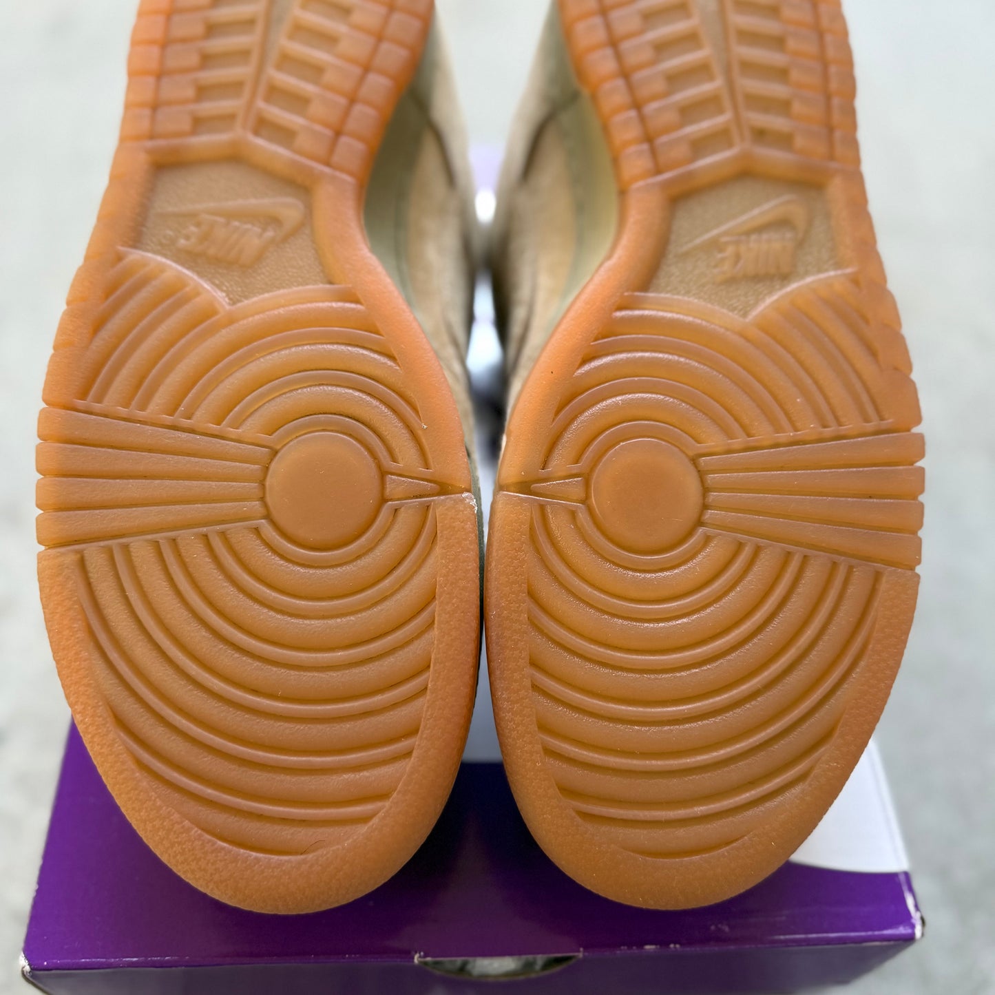 Size 10.5 - 2025 Nike Dunk Pro B “Parachute / Beige”