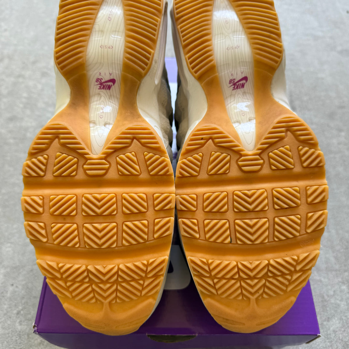 Size 12 - 2025 Nike Air Max 95 SB “Cactus Flower”
