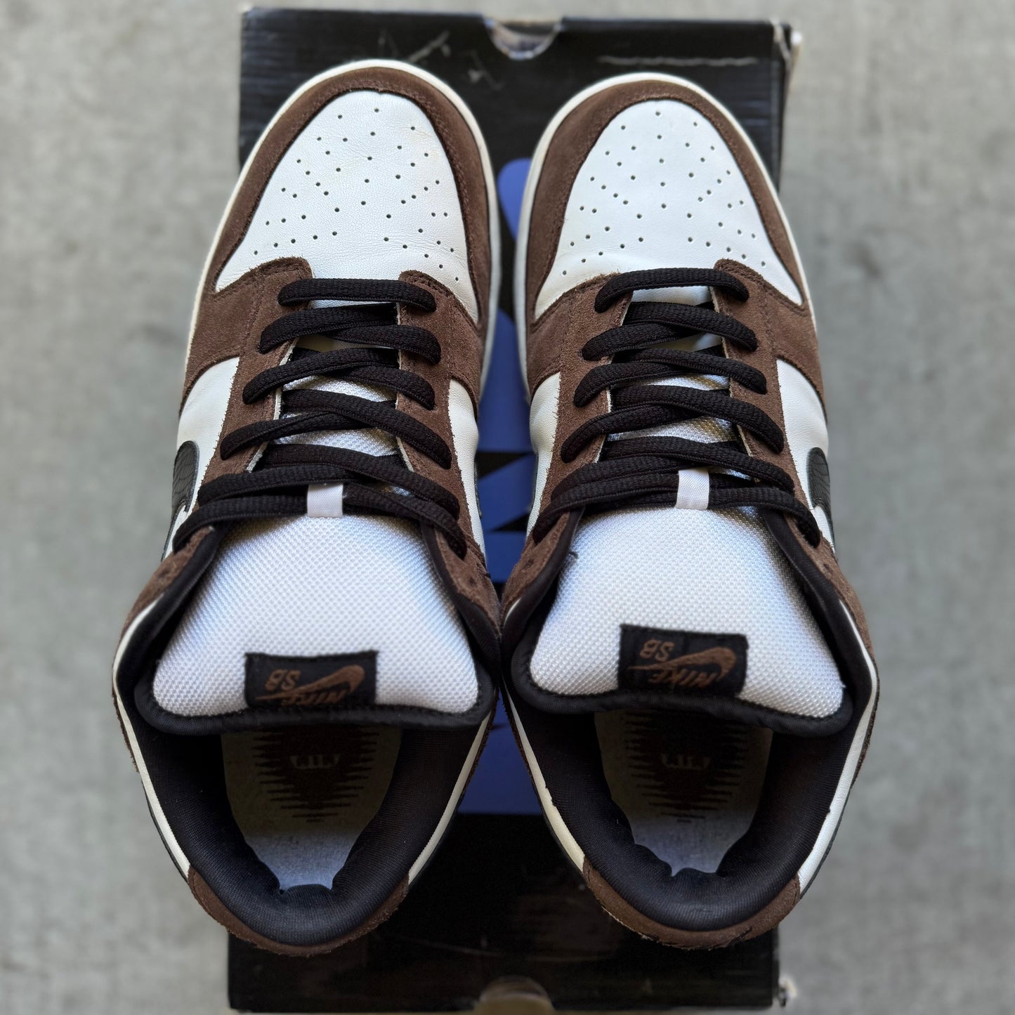 Size 11 - 2007 Nike Dunk SB Low “Trail End”