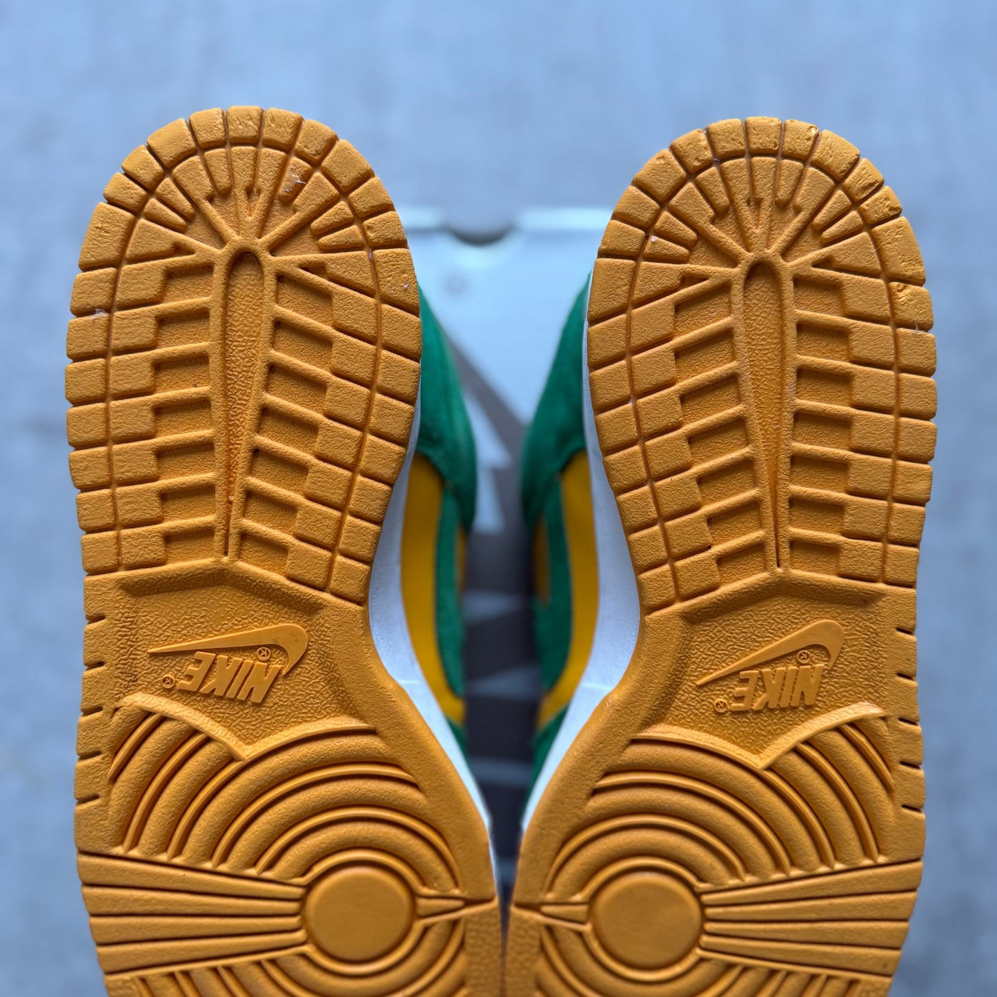 Size 9 - 2004 Nike Dunk SB Low “Buck”