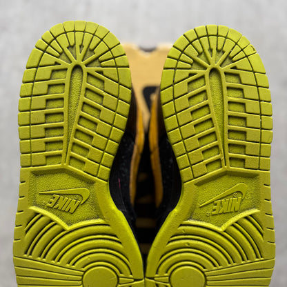 Size 11.5 - 2008 Nike Dunk SB Low “Space Tiger”