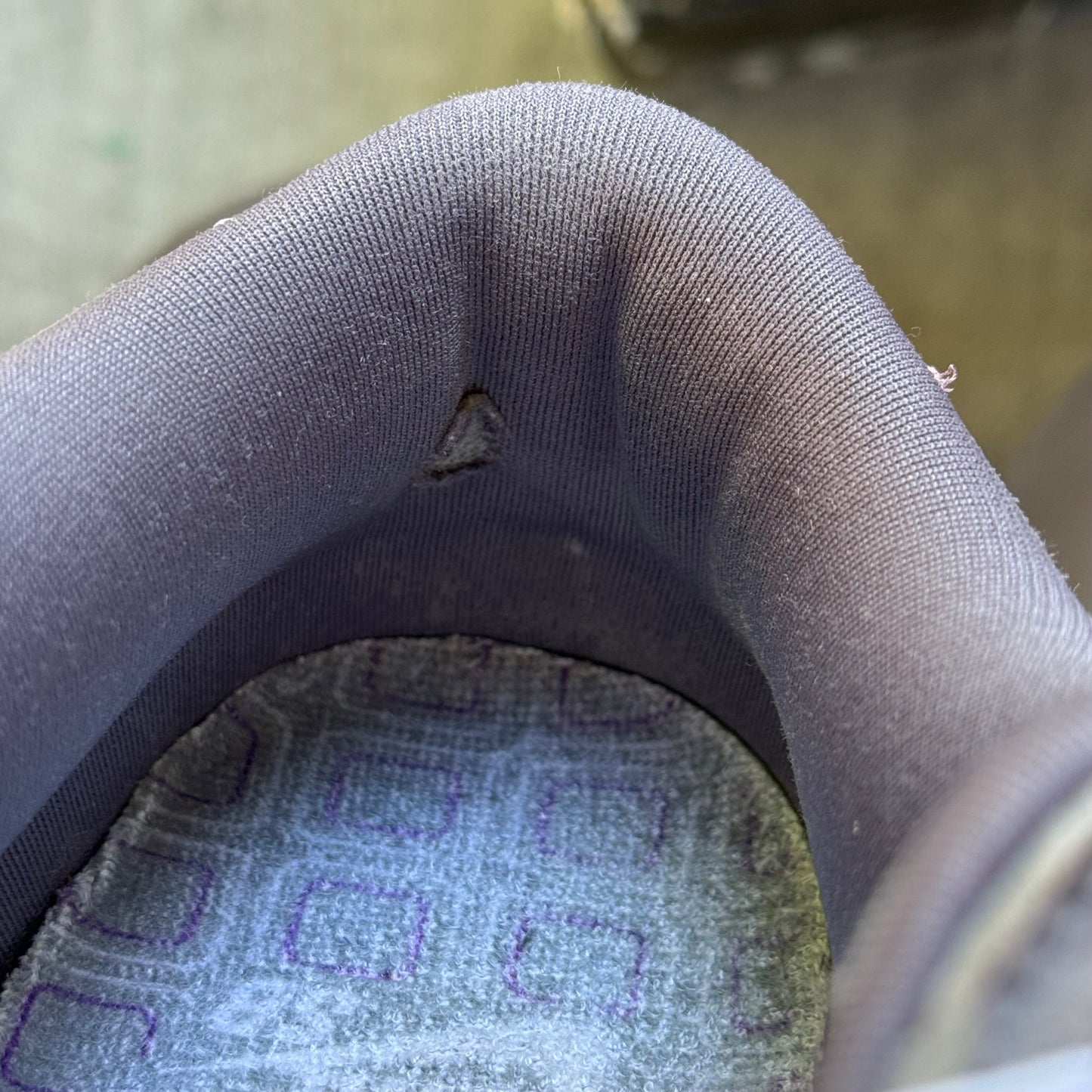 Size 11 - 2006 Nike Dunk SB Low “Purple Pigeon”