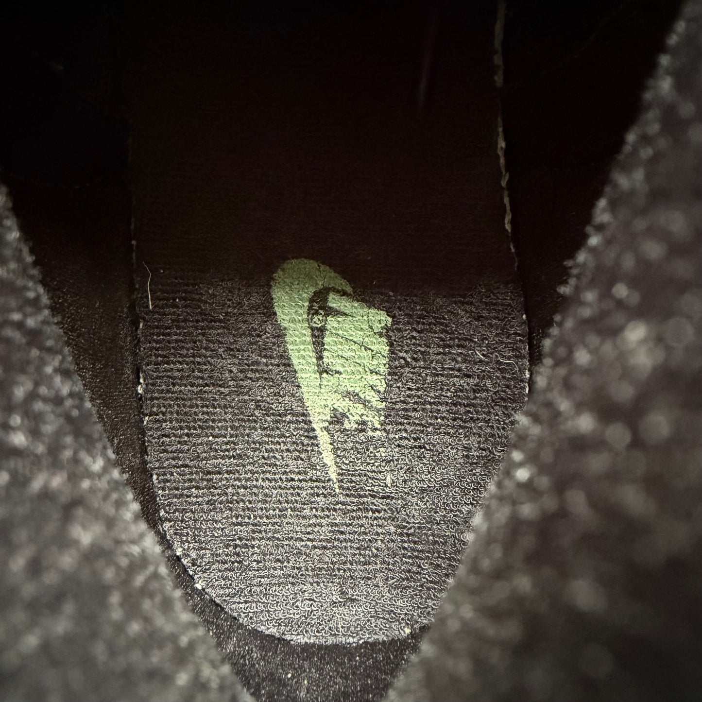 Size 10.5 - 2003 Nike Dunk High “Deftones”