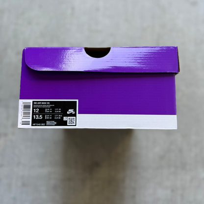 Size 12 - 2026 Nike Air Max 95 SB “Cacao Wow”
