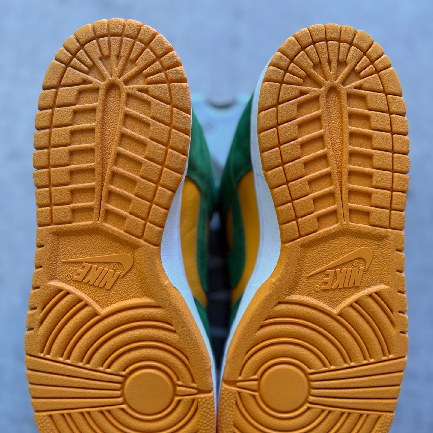 Size 11 - 2004 Nike Dunk SB Low “Buck”