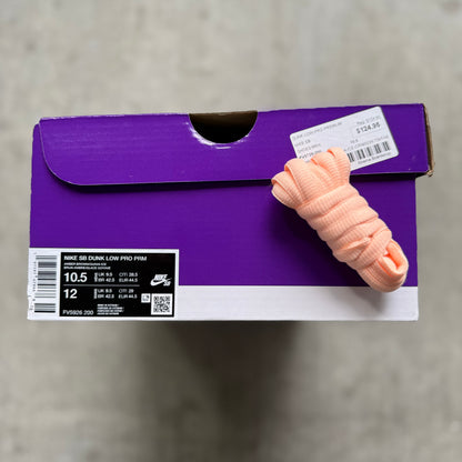 Size 10.5 - 2024 Nike Dunk SB Low “Trocadero Gardens”