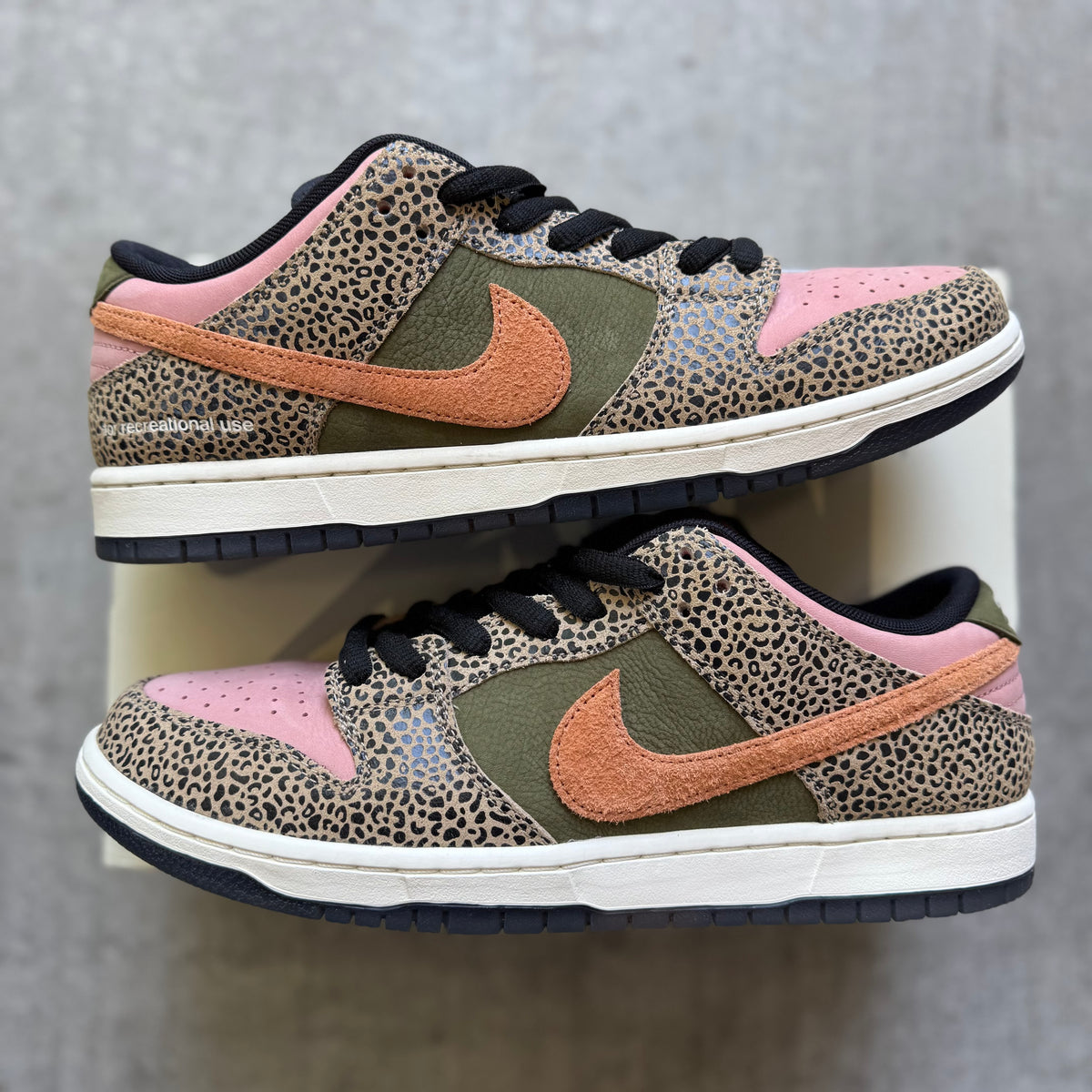 Size 11.5 - 2025 Nike Dunk SB Low “Arts-Rec”