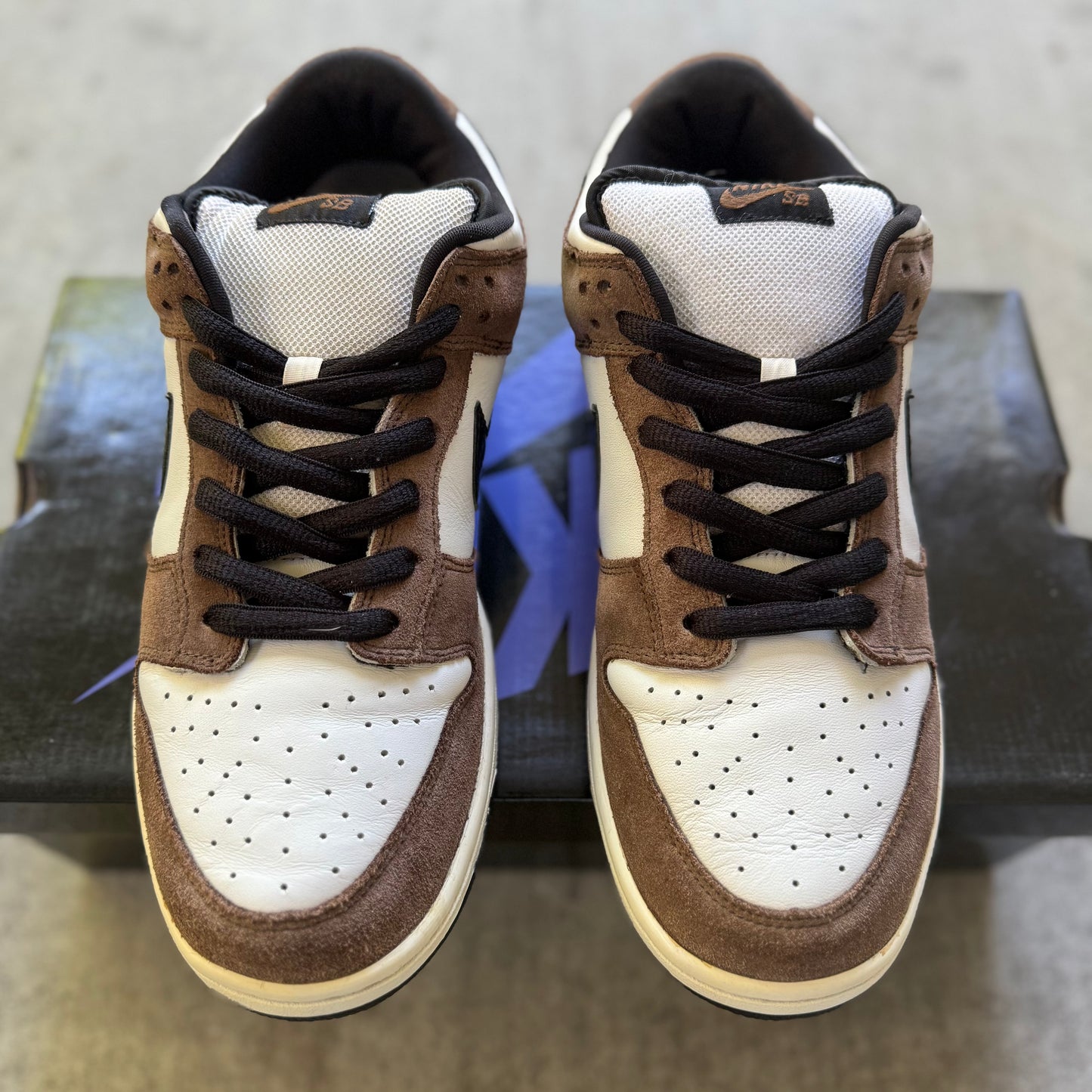 Size 11 - 2007 Nike Dunk SB Low “Trail End”