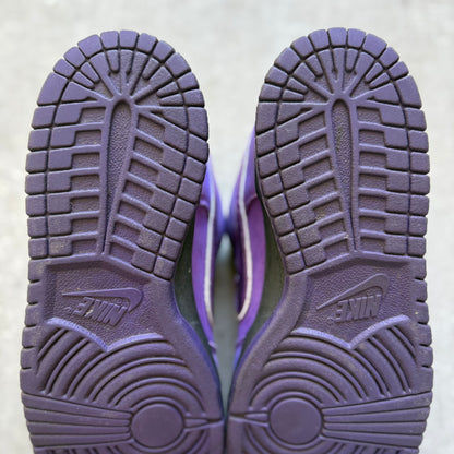 Size 7.5 - 2018 Concepts x Nike Dunk SB Low “Purple Lobster”