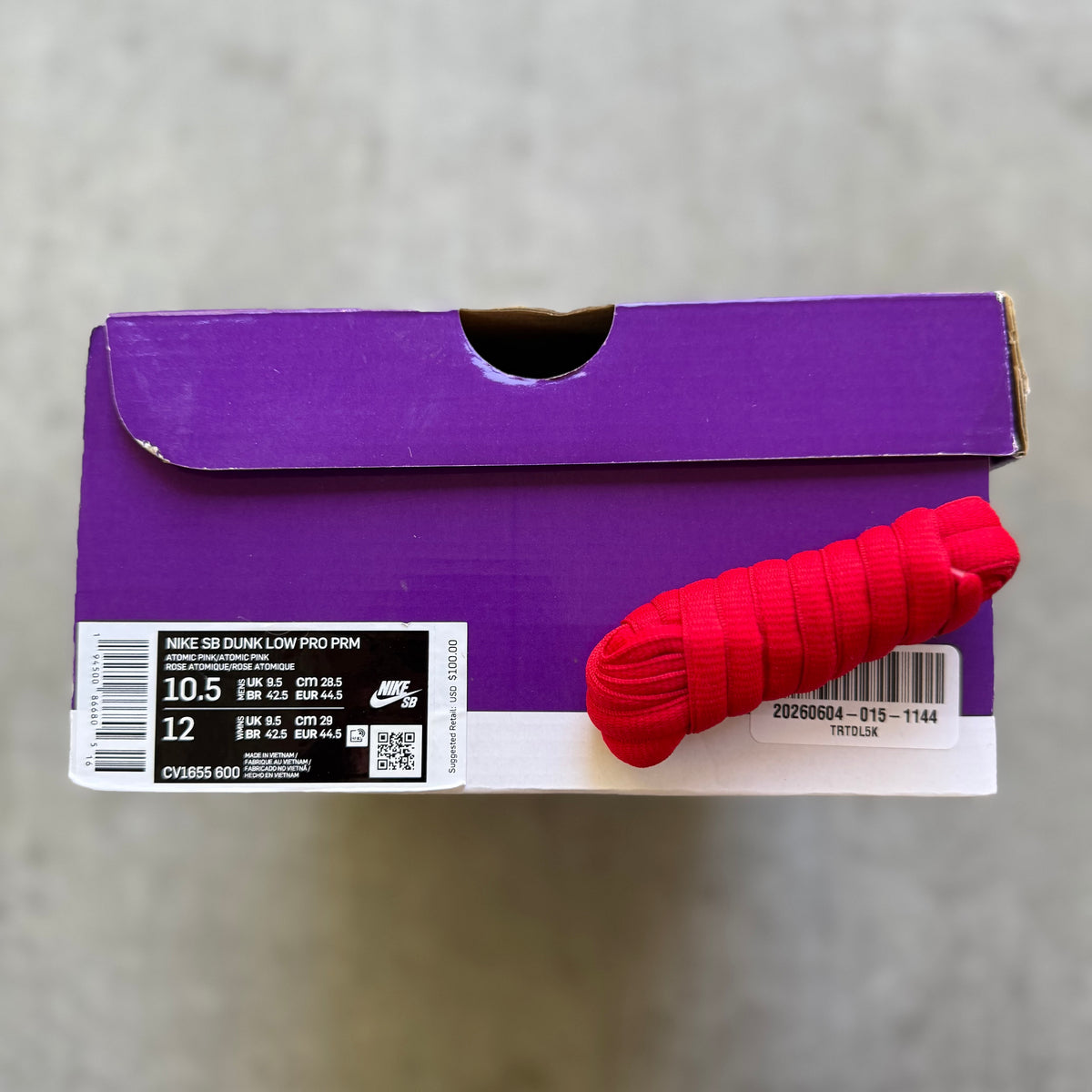 Size 10.5 - 2021 Nike Dunk SB Low “Pink Pig”