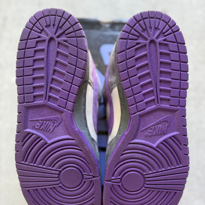 Size 12 - 2006 Nike Dunk SB Low "Purple Pigeon"