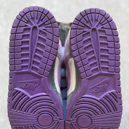 Size 10.5 - 2006 Nike Dunk SB Low "Purple Pigeon"