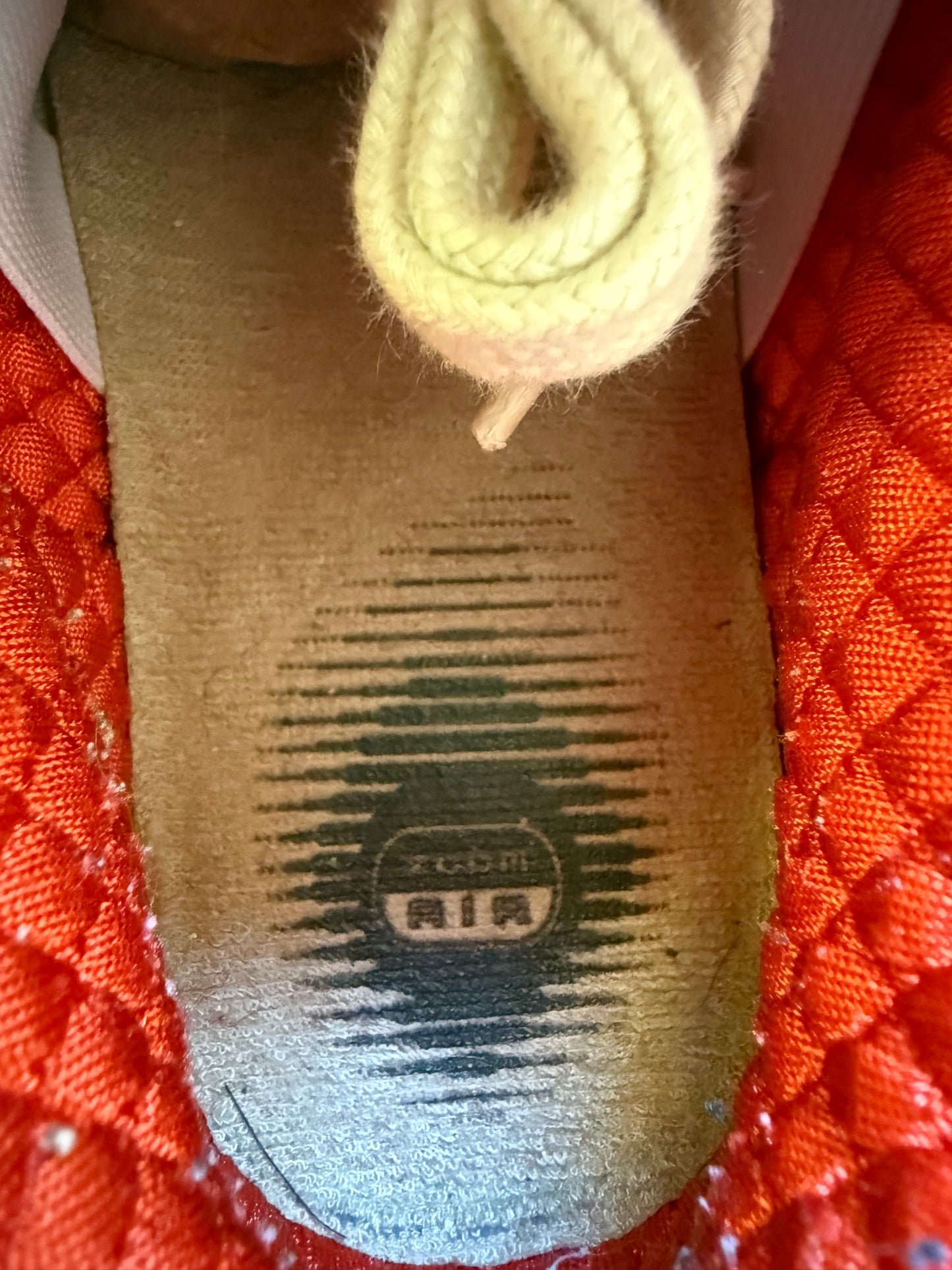 Size 10.5 - 2004 Reese Forbes x Nike Dunk SB Low "Hunter"