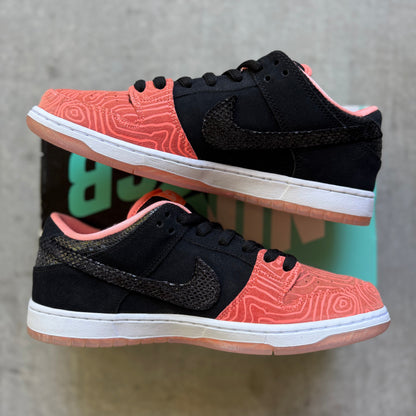 Size 11 - 2015 Premier x Nike Dunk SB Low "Fish Ladder"